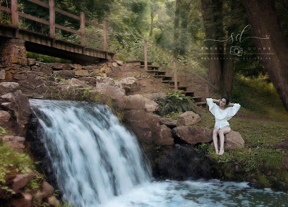 Sherri Doane Photography & Web Design