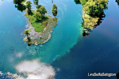 Soaring Eagle Aerial Photography