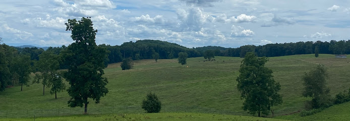 Southern Oak Lavender Farm