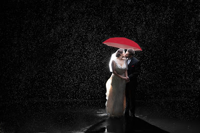 Stapleton Photography