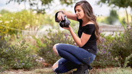 Stephanie Damstetter Photography