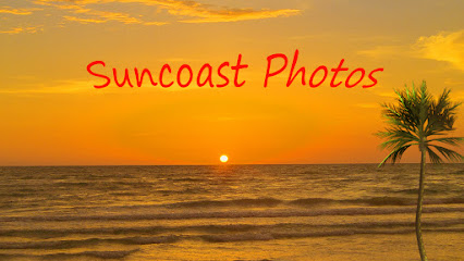 Suncoast Photos Photographer In St. Petersburg Florida