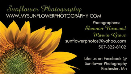 Sunflower Photography | Event