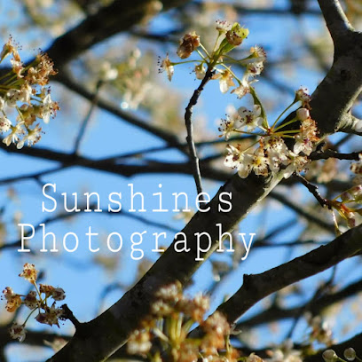 Sunshines Photography