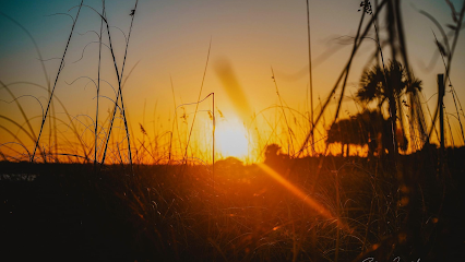 SurgeonLyphe Photography