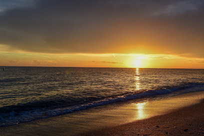T4 Photography