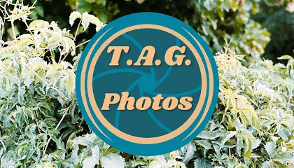 TAG Photos BH