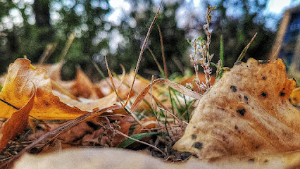 TS Photography