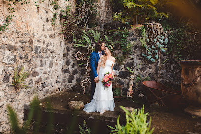 Tara Lee Photography