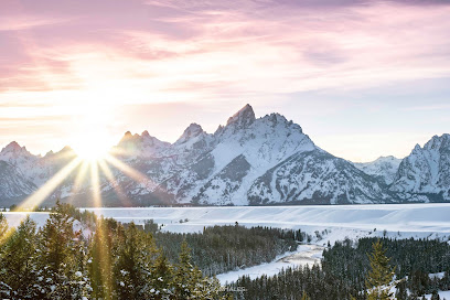 Targhee Media