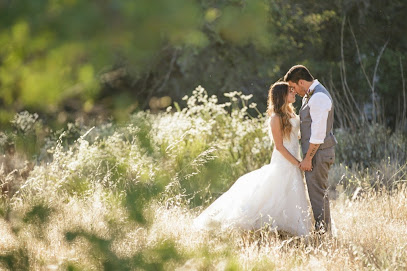 Taylor Abeel Photography