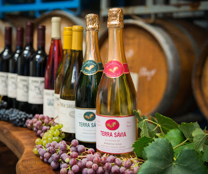 Terra Sávia Organic Winery & Olive Mill