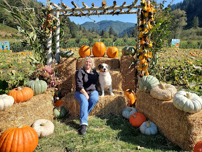 The Hydrangea Ranch