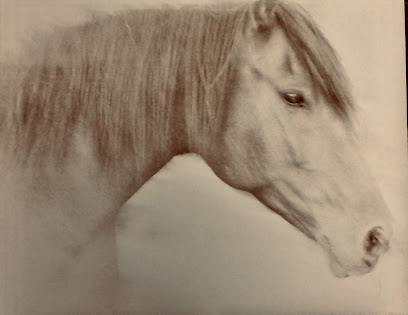 The Spotted Pony Photography