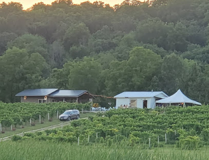 The Vines