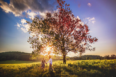The Willinghams Photography - Philadelphia Wedding Photographers