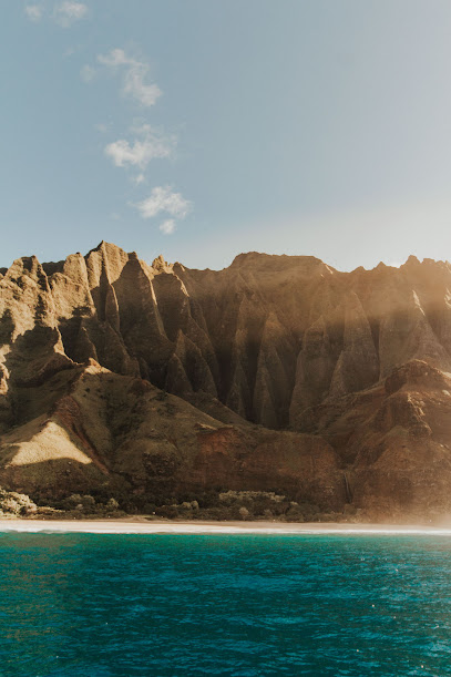 TheWanderingB Photography