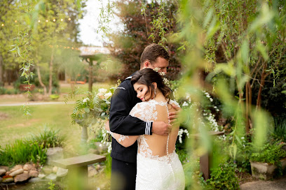 Tiffany Michelle Photography
