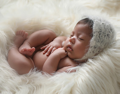Tracy Arredondo Photography