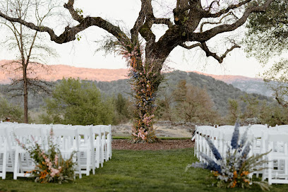 Victoria Redko Photo Napa Wedding Photographer