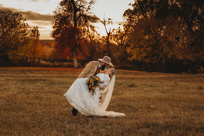 Wandering Willow Imagery