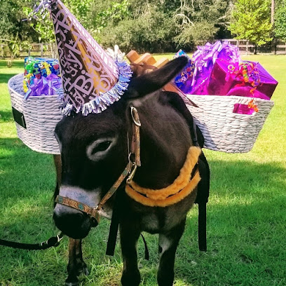 Wedding Donkeys and Beer Burros