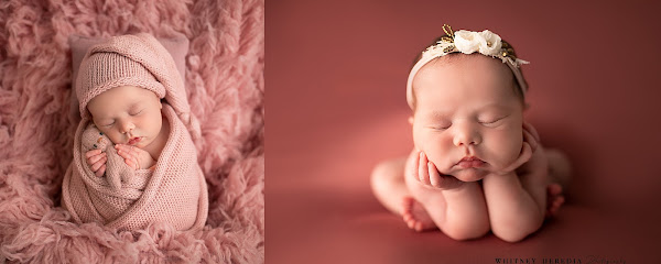 Whitney Heredia Photography