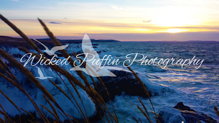 Wicked Puffin Photography
