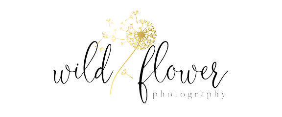 Wild Flower Photography