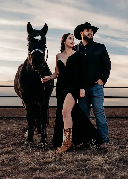 Wild Willow Photography