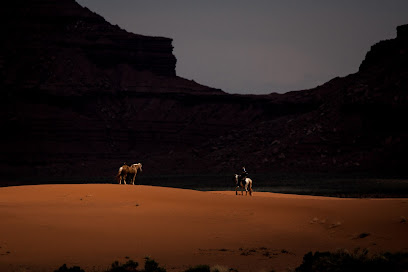 Will Berger Photos