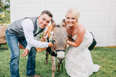 Willowynn Barn