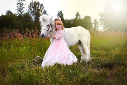 Your Majesty Photography