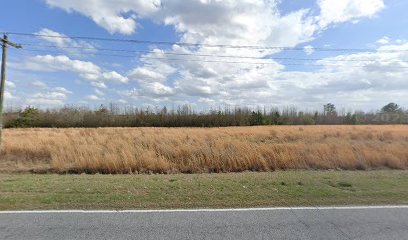murphy farm darlington sc